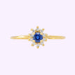 Anillo Roseta Princesa Oro 10K